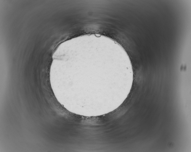 X0000111501201200908251041