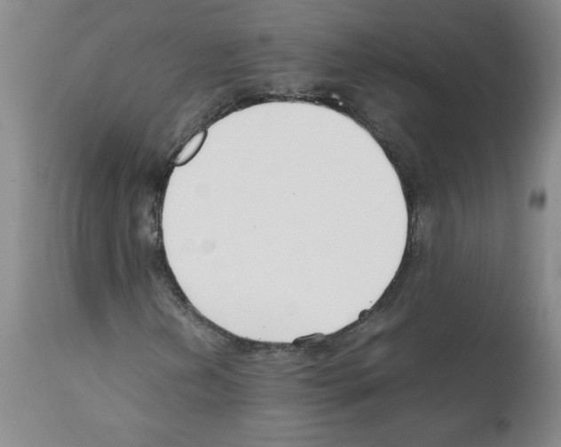 X0000111501202200908251041