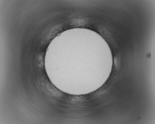 X0000111501203200908251041