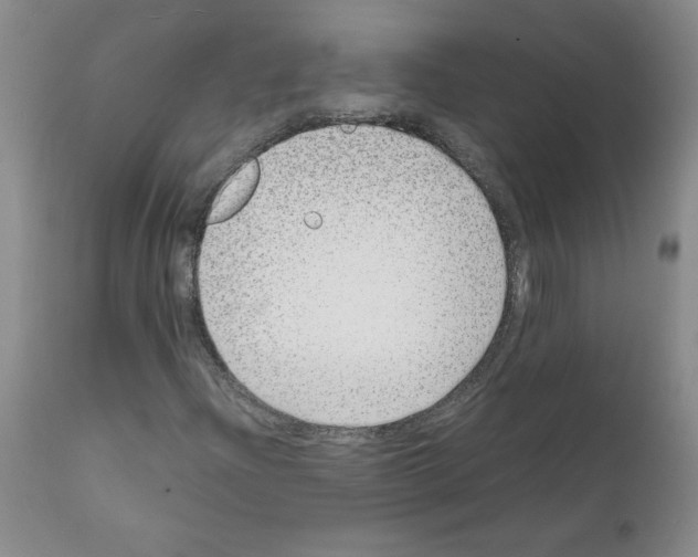 X0000111501204200908251041