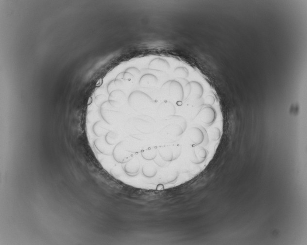 X0000111501205200908251041