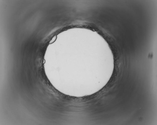 X0000111501206200908251041