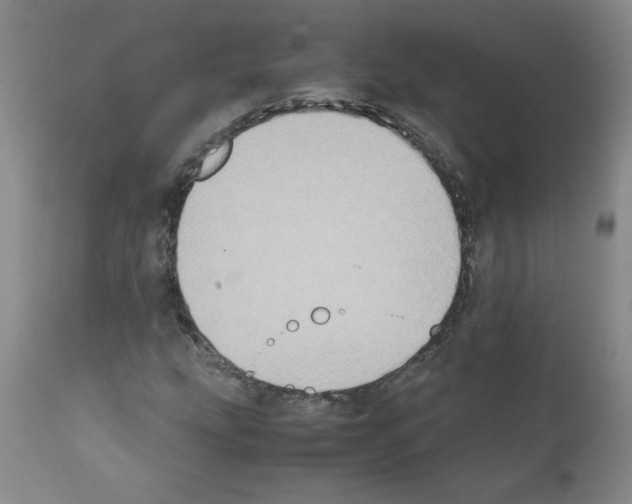 X0000111501207200908251041