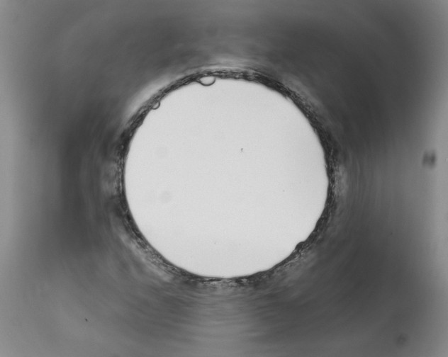 X0000111501208200908251041