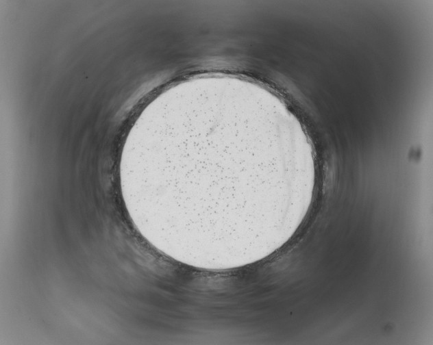 X0000111501213200908251042