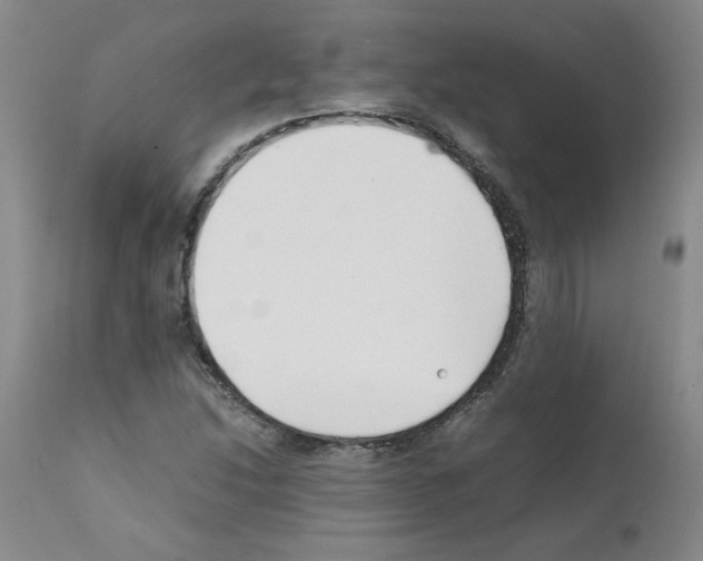 X0000111501214200908251042