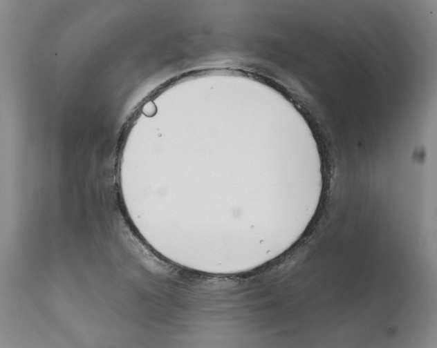 X0000111501216200908251042