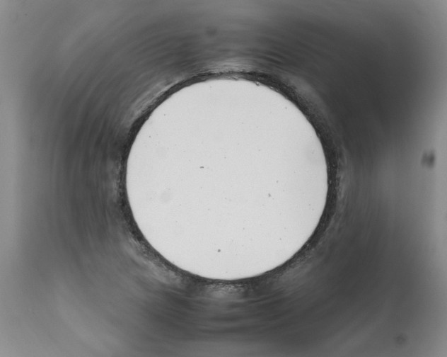 X0000111501217200908251042