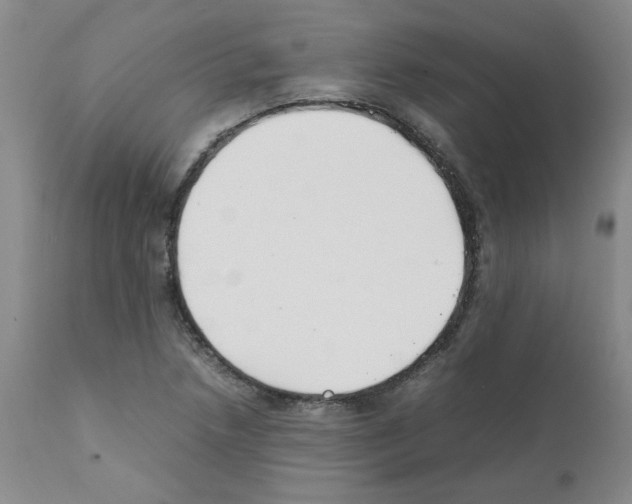 X0000111501218200908251042