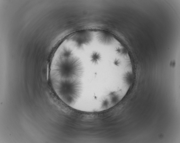 X0000111501219200908251042