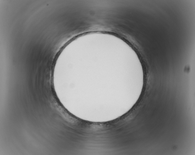 X0000111501220200908251042