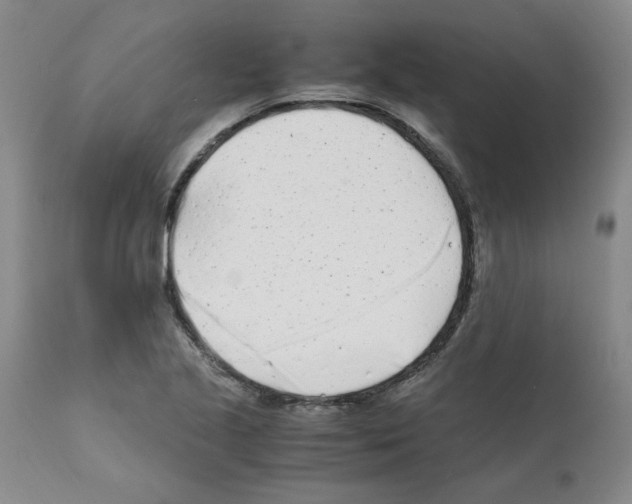 X0000111501221200908251042