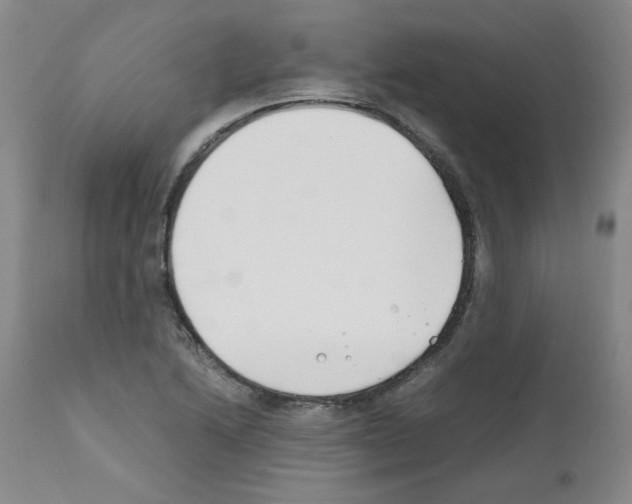 X0000111501222200908251042