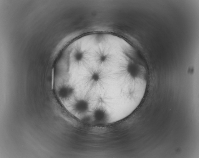 X0000111501223200908251042