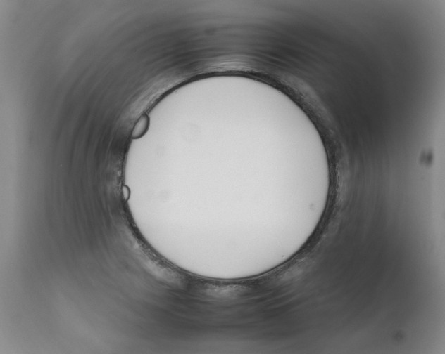 X0000111501225200908251042