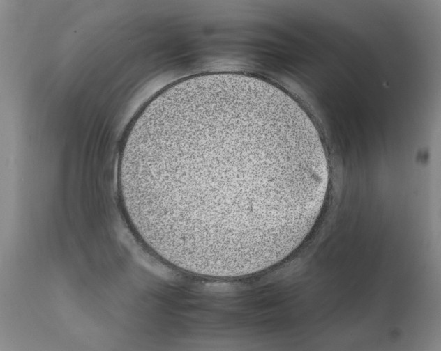 X0000111501227200908251042