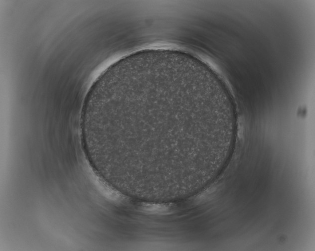 X0000111501229200908251042