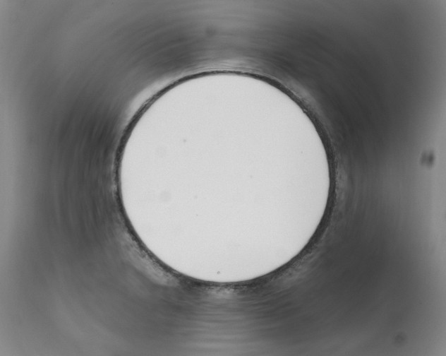 X0000111501230200908251042