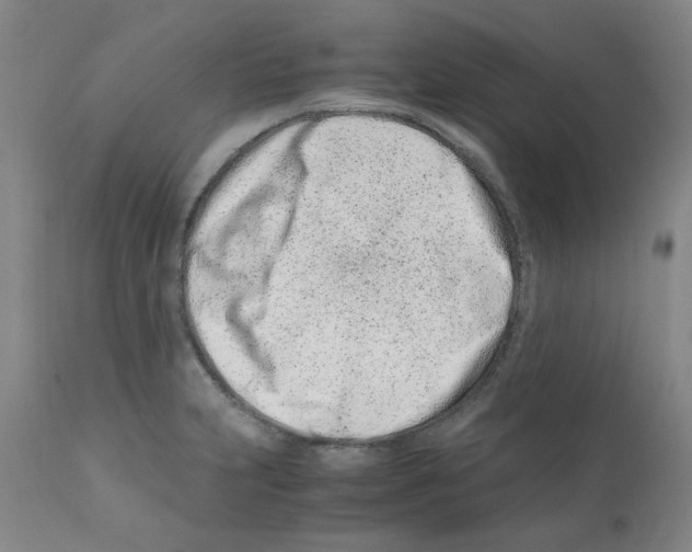 X0000111501231200908251042