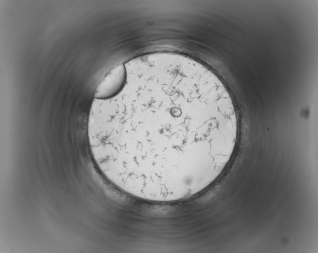 X0000111501233200908251042