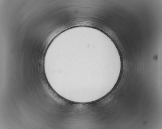 X0000111501234200908251042