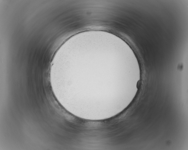 X0000111501236200908251042