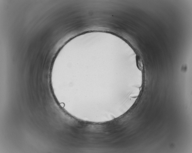 X0000111501237200908251042