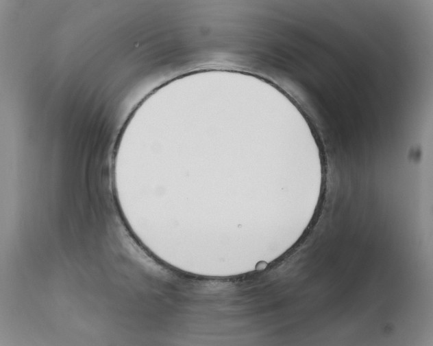 X0000111501238200908251042