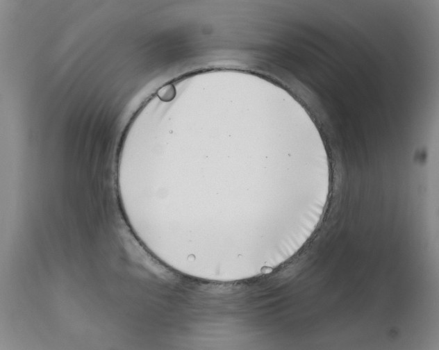 X0000111501240200908251042