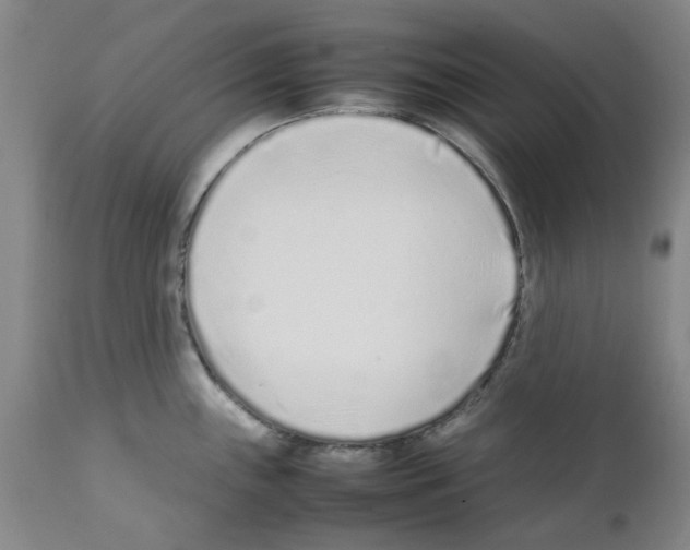 X0000111501243200908251042