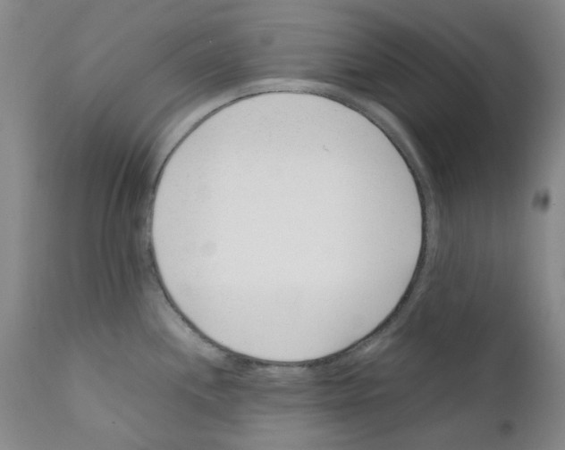 X0000111501244200908251042