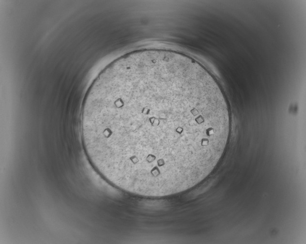 X0000111501247200908251042