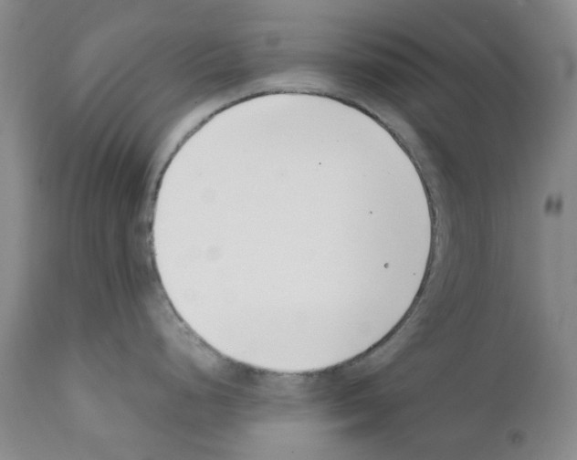 X0000111501248200908251042