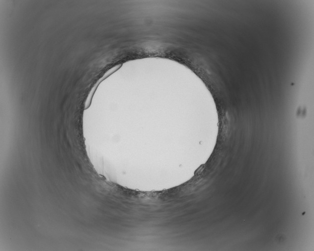 X0000111501249200908251041