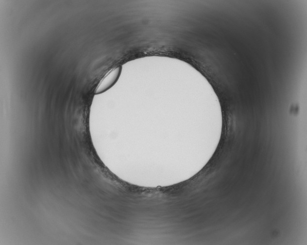 X0000111501250200908251041