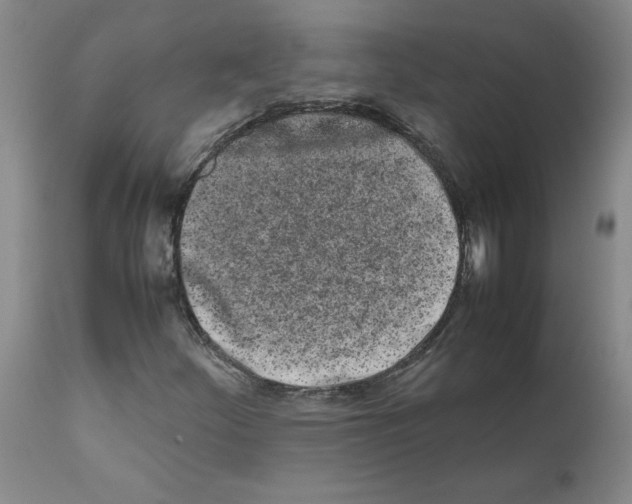 X0000111501252200908251041