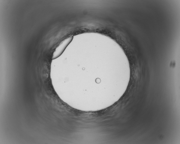 X0000111501253200908251041