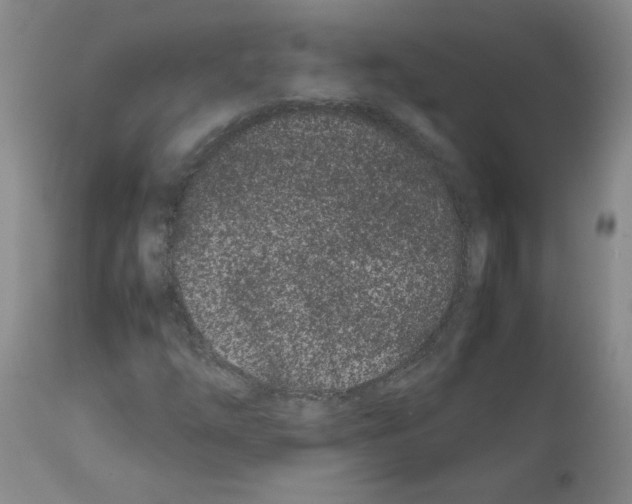 X0000111501254200908251041