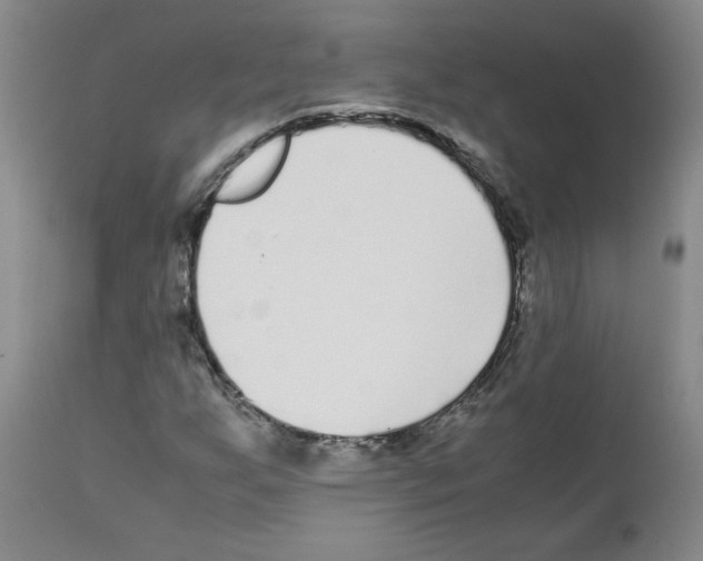 X0000111501255200908251041