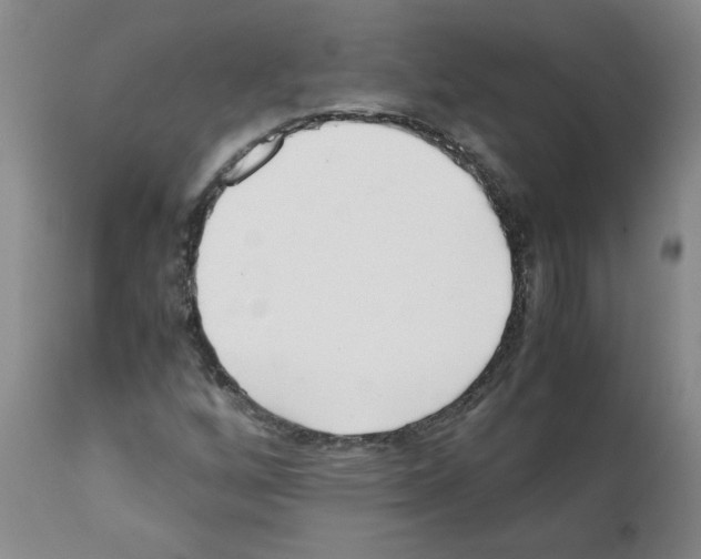 X0000111501256200908251041