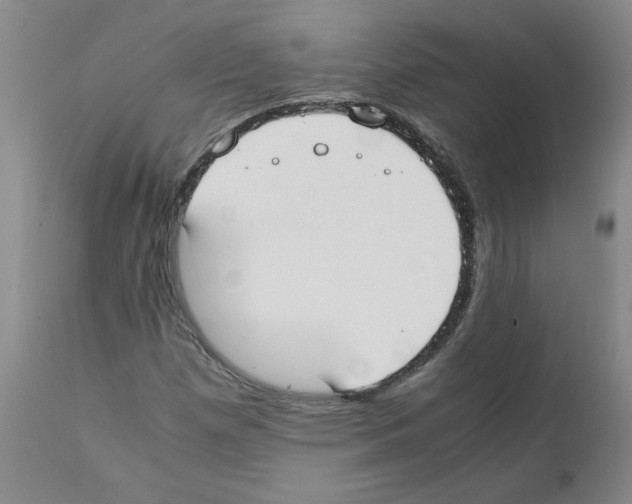 X0000111501257200908251041