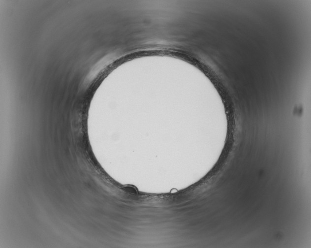 X0000111501259200908251041