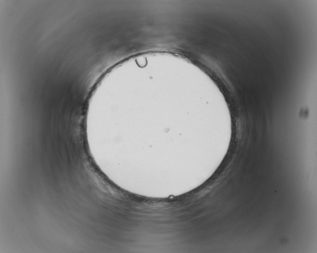 X0000111501260200908251041