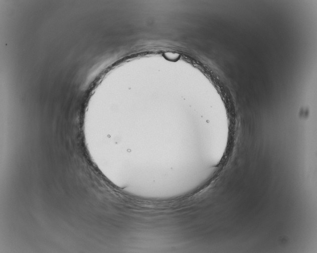 X0000111501261200908251041