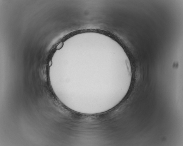 X0000111501262200908251041