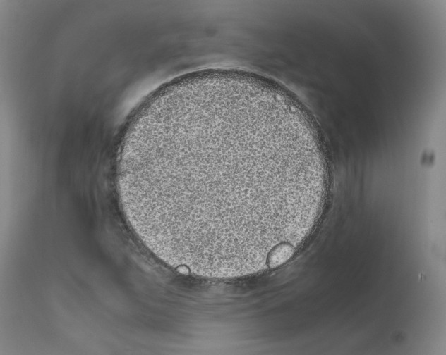 X0000111501263200908251041