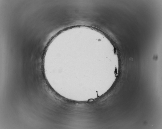 X0000111501264200908251041