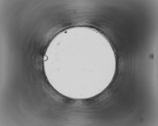 X0000111501265200908251041