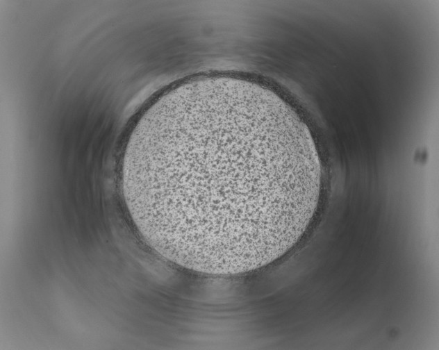 X0000111501266200908251041