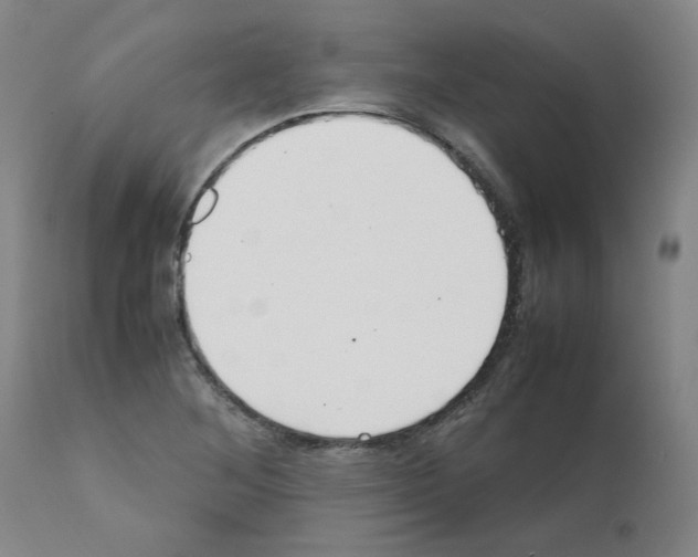 X0000111501268200908251041